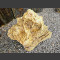 versteend hout 44cm