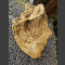 versteend hout 44cm
