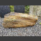 versteend hout 60cm lengte