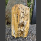 versteend hout 47cm