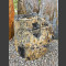 versteend hout 49cm