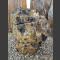 versteend hout 49cm