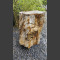 versteend hout 75cm