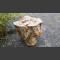 versteend hout 75cm