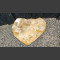 versteend hout 46cm