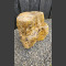 versteend hout 46cm