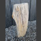 Versteend hout gepolijst 64cm