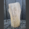 Versteend hout gepolijst 64cm