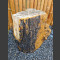 versteend hout boomstam 66cm hoog