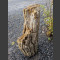 versteend hout 75cm