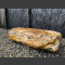 versteend hout 19cm