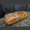 versteend hout 19cm