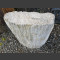 versteend hout 64cm