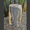 versteend hout 36cm