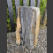 versteend hout 36cm