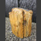 versteend hout 48cm