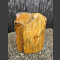 versteend hout 48cm