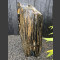 versteend hout gepolijst 100cm