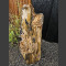 versteend hout 100cm