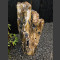 versteend hout 100cm