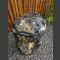 versteend hout 64cm