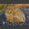 Tijgeroog Natursteen mineraalsteen gepolijst 81kg