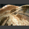 Natuursteen shell gepolijst Onyx